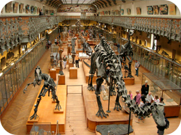 National Museum of Natural History 